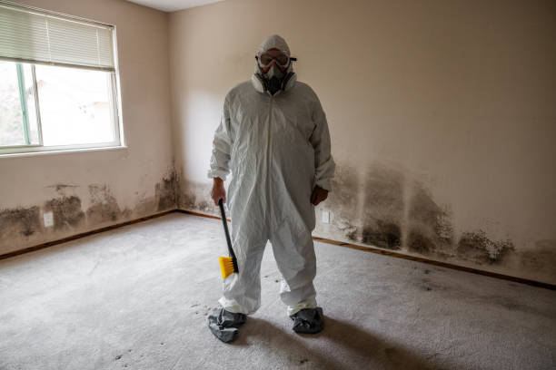 Best Mold Remediation for Vacation Homes  in Girard, PA